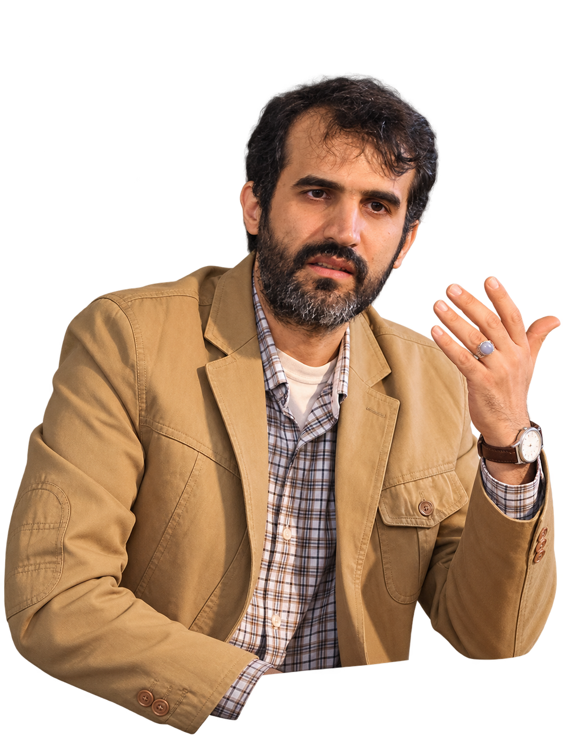 مصطفی زالی